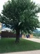 Techno Highlights 2017 - 11